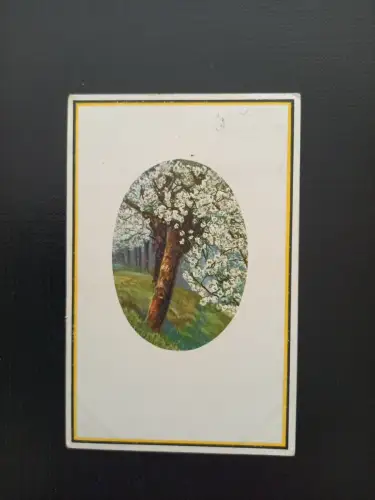 Deutscher Frühling 500126D Gr