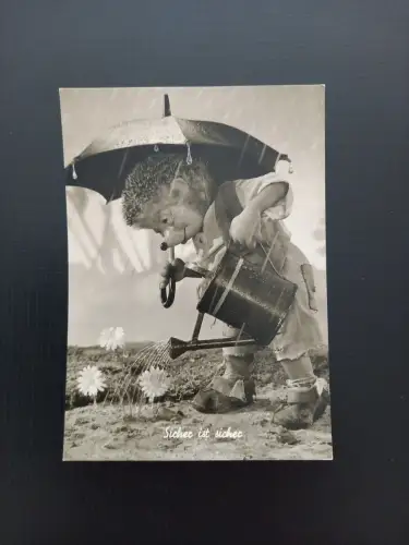 Mecki Sicher Ist Sicher Gebrüder Diehl 400611 Gr