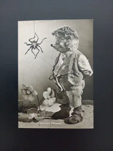 Mecki Einer Spinnt Immer Gebrüder Diehl AB0084