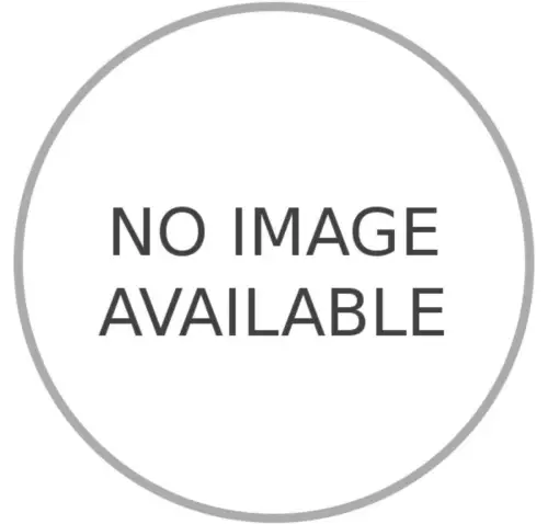 340 IRISCHE SHORT STORIES DES 20. JAHRHUNDERTS HC SEHR GUTER ZUSTAND!