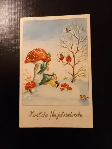 Herzliche Neujahrsgrüße Fliegenpilz Marienkäfer Zwerg Gr