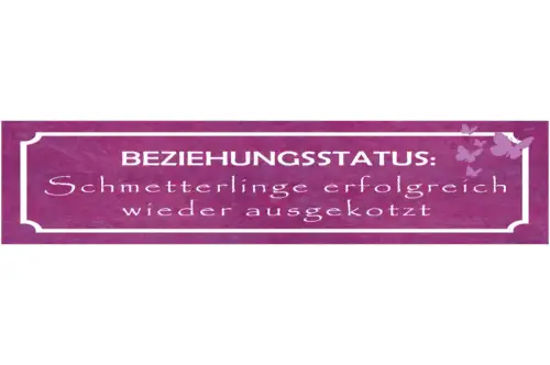 Schild Beziehung Status Schnetterlinge Trennung Liebe Ehe 46 x 10 Blech od. Holz