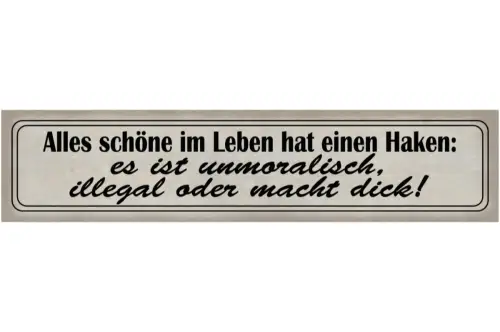 Schild Schöne Leben Haken Unmoralisch Illegal Dick Süßes 46 x 10 Blech od. Holz