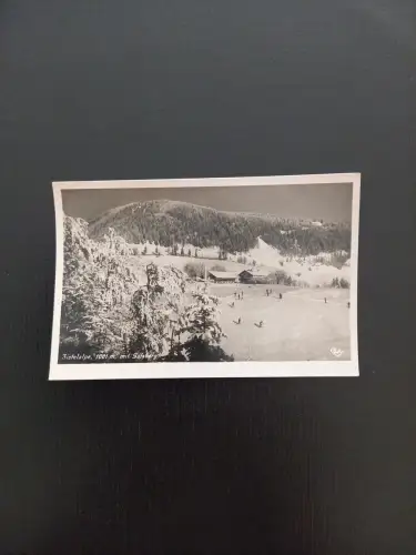 Zistelalpe Gaisberg Gr