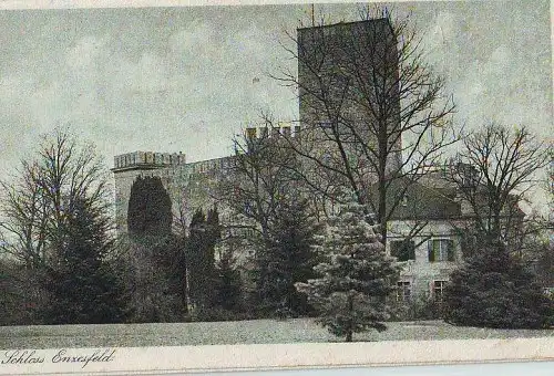 374;Schloss Enzesfeld Triesting Lindabrunn 1920