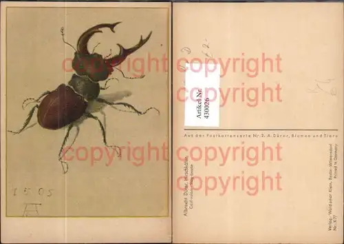 Künstler Ak Albrecht Dürer Hirschkäfer Insekten Tiere