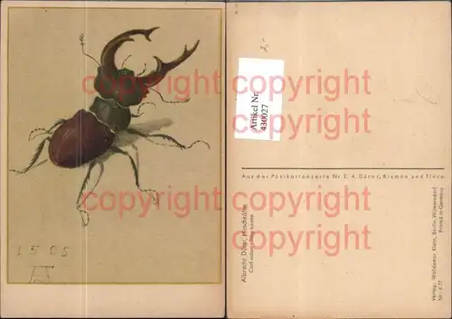 Künstler Ak Albrecht Dürer Hirschkäfer Insekten Tiere