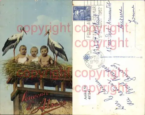 Fotomontage Kinder m. Störchen Storch Nest Souvenir d Alsace