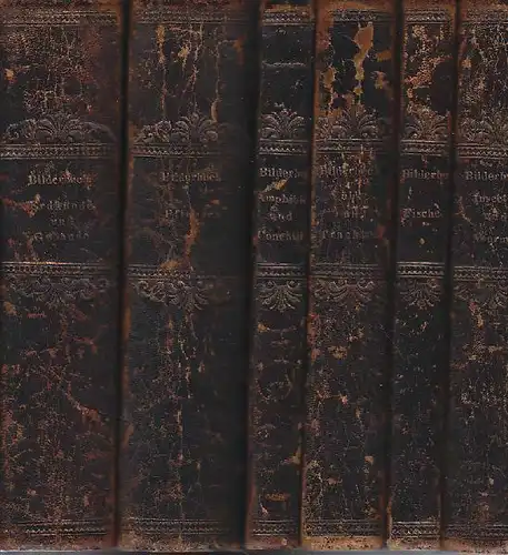 BERTUCH, Bilderbuch zum Nutzen und Vergnügen... 1790