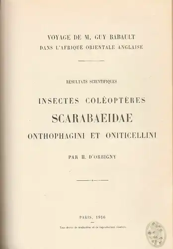 Insectes Coléoptères Scarabaeidae. Scarabaeina et Onthophagini. [2] Helictopleur