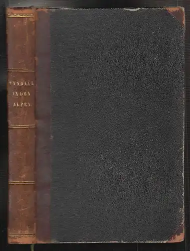 In den Alpen. Autorisierte deutsche Ausgabe. Mit einem Vorwort von Gustav Wiedem