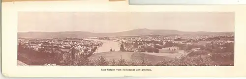 Die Donaustadt Linz und Ausflüge in deren Umgebung. Illustrierter Führer für Fre