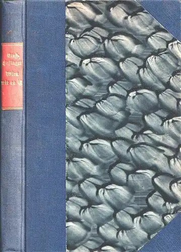 Wien wie es ist. GROSS-HOFFINGER, A.J.