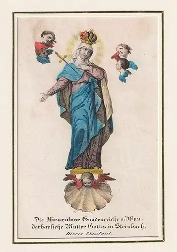 Die Miraculose Gnadenreiche u. Wunderbarliche Mutter Gottes in Steinbach.