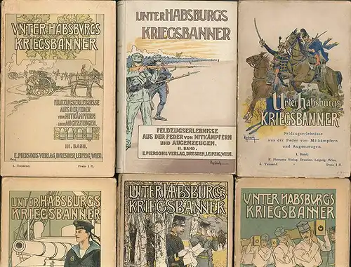 Unter Habsburgs Kriegsbanner. Feldzugserlebnisse aus der Feder von Mitkämpfern u