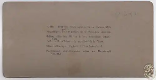 Beautiful Public Gardens in Chinese Metropolis.