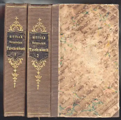 Taschenbuch der Flora Deutschlands zum Gebrauche auf botanischen Excursionen. KI