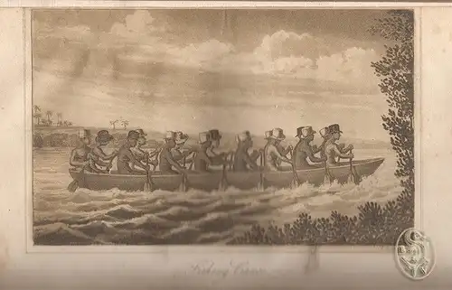 Voyages pittoresques scientifiques et historiques en Amérique Brésil. Provinces 