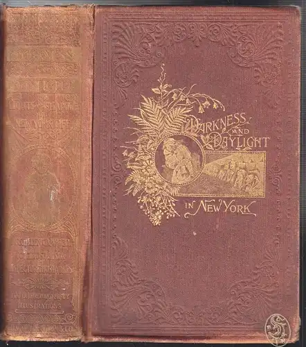 Darkness and Daylight; or, Lights and Shadows of New York Life. A Woman`s Story 