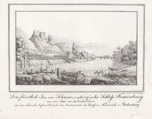 Das fürstlich Jos. von Schwarzenberg`sche Schloss Frauenberg an der Mur in Juden