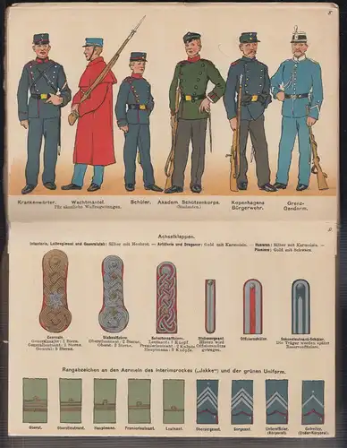 Die Dänische Armee in ihrer gegenwärtigen Uniformierung. Nach authentischen Quel