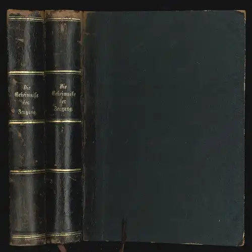 Die Geheimnisse der Zeugung und das Geschlechtsleben des Menschen. Umgearbeitet 