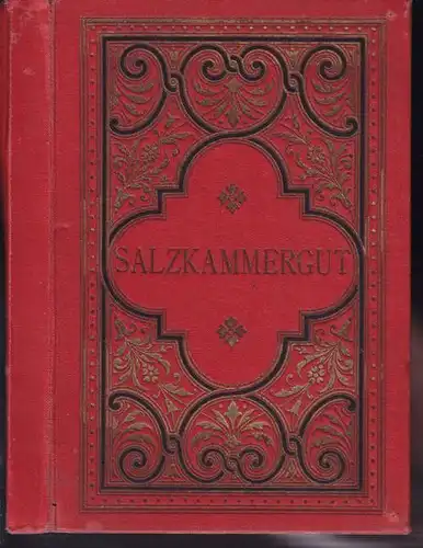 SALZKAMMERGUT. 1894