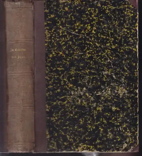 ZIMMERMANN, Der Vulcanismus oder Das Todesthal... 1862