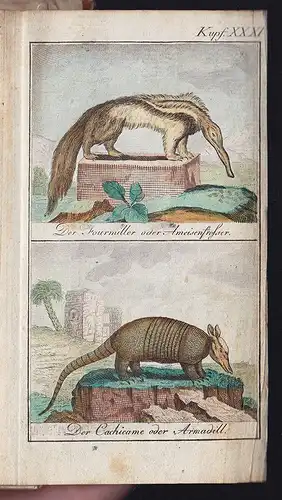 EBERT Johann Jacob., Eberts Naturlehre. 1784