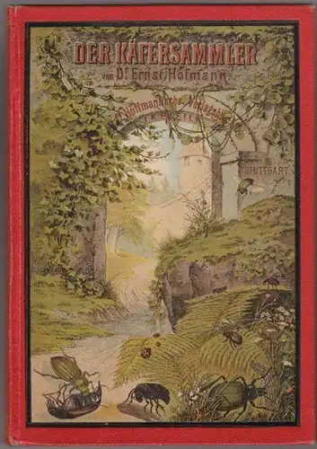 HOFMANN, Der Käfersammler. 1900