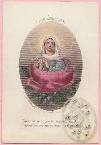 TURGIS, Rose Mystique. Rose sainte, parfum... 1860