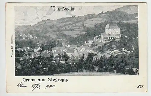 Gruss aus Steyregg. Total-Ansicht. 1890
