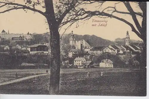 Tittmoning mit Schloß 1890