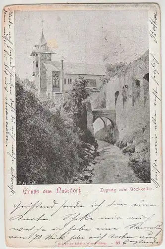 Gruss aus Nussdorf. Zugang zum Bockkeller. 1890
