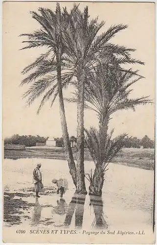 Scènes et Types. Paysage du Sud Algérien. 1900