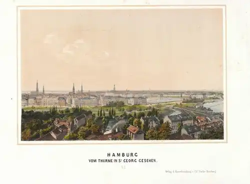 Hamburg vom Thurme St. Georg gesehen. 1840