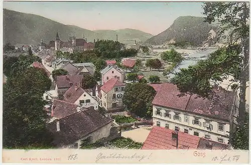 Göss. 1905