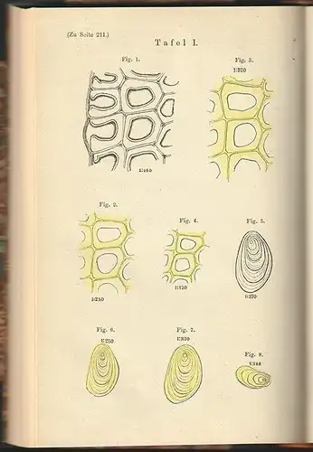 DIPPEL, Grundzüge der allgemeinen Mikroskopie. 1885