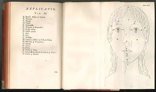 Anonymi Introductio anatomica gr. et lat. Item... 1744