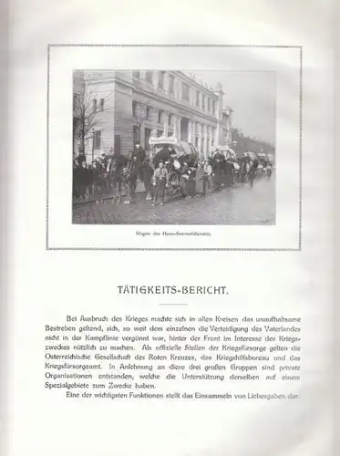 Tätigkeits-Bericht des Haus-Sammeldienstes über... 1915