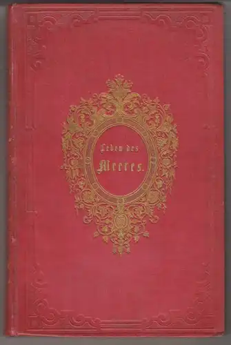 HARTWIG, Das Leben des Meeres. Eine Darstellung... 1857