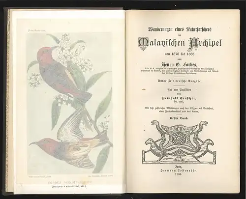 Wanderungen eines Naturforschers im Malayischen Archipel von 1878 bis 1883. Aus