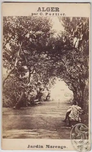 Alger par C. Portier. Jardin Marengo. 1875