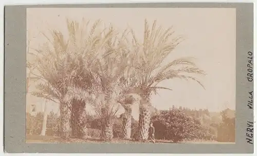 Nervi. Villa Cropalo. 1880