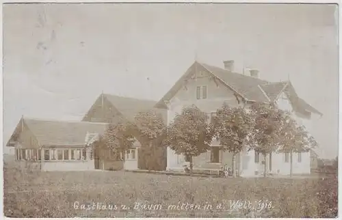 Gasthaus z. Baum mitten in d. Welt. 1916. 1916