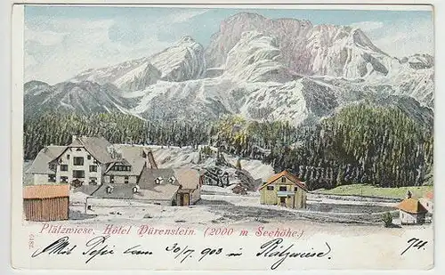 Plätzwiese. Hôtel Dürenstein (2000 m Seehöhe.) 1890