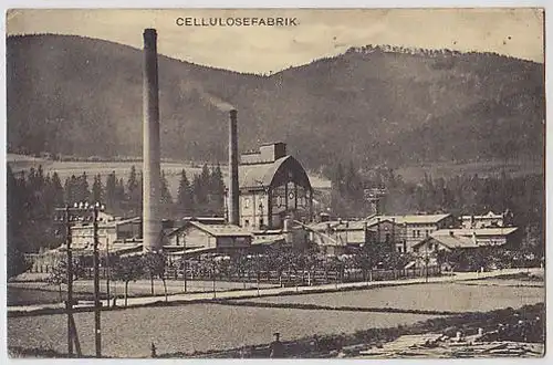 Cellulosefabrik. 1900