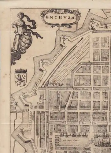 Enchusa. 1582