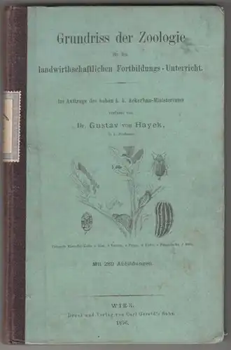 HAYEK, Grundriss der Zoologie für den... 1876