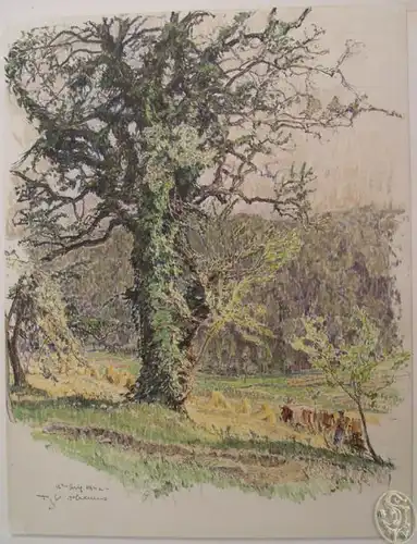 KASIMIR-HOERNES, [Baum in der Landschaft]. 1942